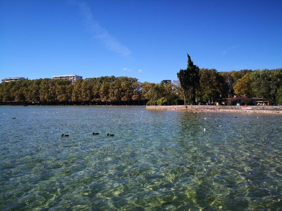 Studio Moderne, Place Parking Prive, Emplacement Ideal A 100 M Du Lac. アヌシー エクステリア 写真